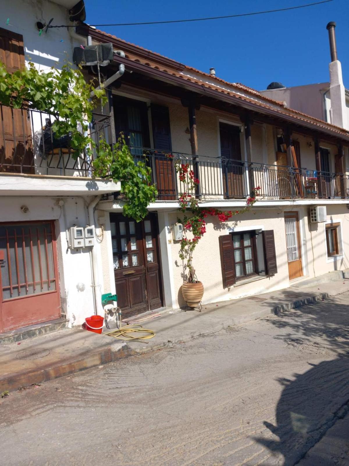 Katerinas Apartmens 斯基亚索斯镇 外观 照片