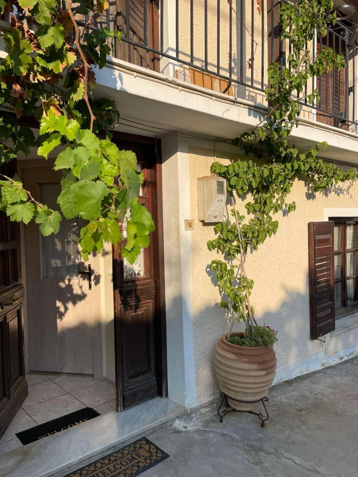Katerinas Apartmens 斯基亚索斯镇 外观 照片